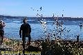 Chemainus Orcas